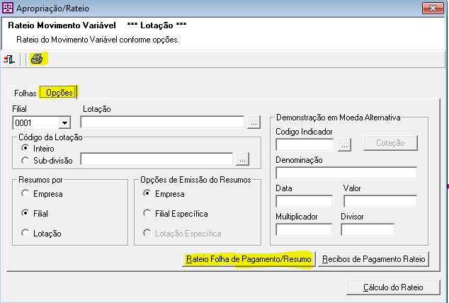 Quadro Opção: opções de emissão do rateio dos movimentos. Filial - seleciona a filial específica para emissão. Lotação - permite selecionar uma Lotação específica para emissão do resumo.