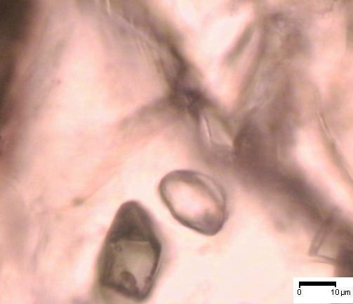 (A) (B) FIGURA 75 (A) IF primárias na titanita. (B) Prováveis melt inclusions na titanita. 5.4.2.