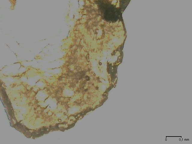 amostras de albitito e microclina gnaisse, meio de imersão utilizado glicerina.