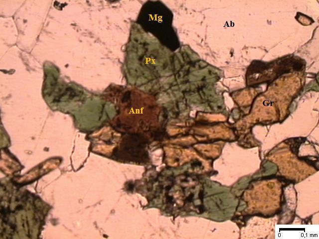 Amostra 200907-22 (Anf-anfibólio, Px-piroxênio, Mg-magnetita, Gr-granada, Ab-plagioclásio tardio).