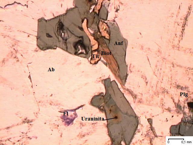 CAPÍTULO 5. RESULTADOS 62 FIGURA 19 Anfibólio com alteração para biotita; titanita, fluorita e uraninita.