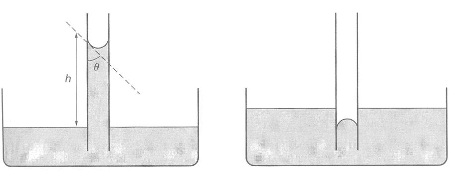 No entanto, isso já não acontece numa molécula à superfície, ficando esta sujeita a uma força do exterior para o interior que obriga à compressão da superfície do líquido.