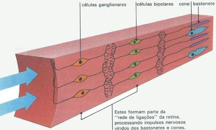 Sistema