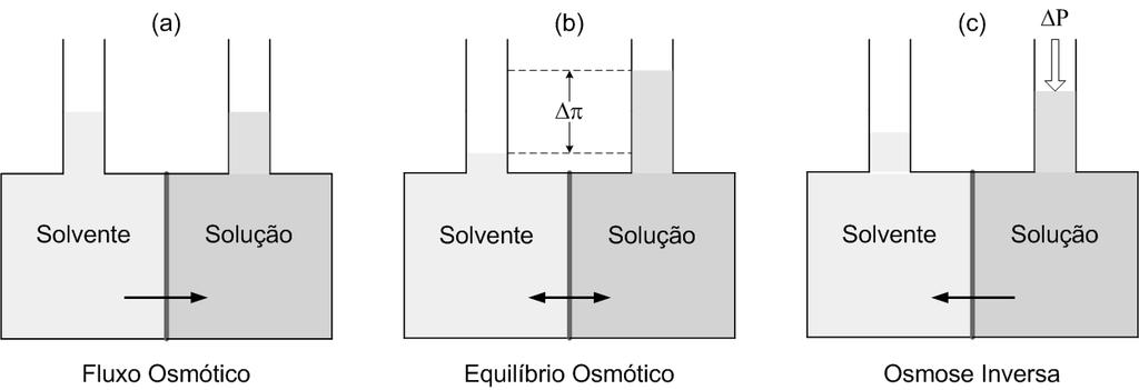 2.2 PRINCÍPIOS DA OI 8 químico) entre as fases líquidas separadas por esta membrana. O solvente é transportado da fase menos concentrada em soluto para a fase mais concentrada em soluto, Figura 2.