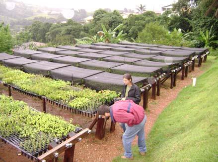 - Saídas ao Campo Após as reuniões