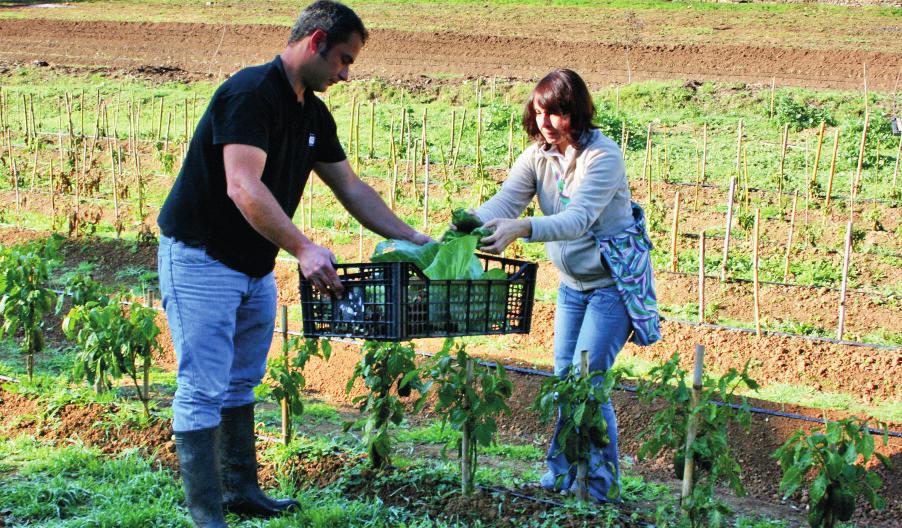 ATIVIDADE 6 II Faz uma horta Uma alimentação rica em frutas e legumes ajuda não só a tua saúde e bem-estar, como também ajuda o ambiente.