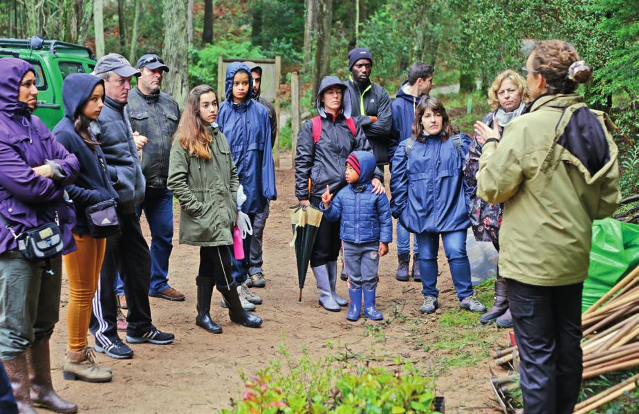 ATIVIDADE 2 I Programa Oxigénio O Oxigénio é um programa de voluntariado ambiental que permite o envolvimento da população em ações de conservação da natureza.