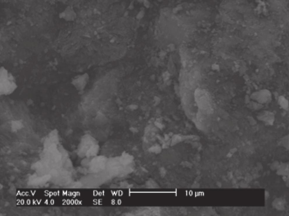 ] Figura 7: Micrografias obtidas em microscópio eletrônico de varredura das pastas curadas por 7 dias a 38 C, com 1,5% de diatomita.