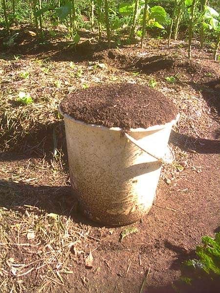 Como usar o composto pronto Na adubação dos canteiros da horta, usam-se cerca de 10 kg por metro quadrado cada vez que