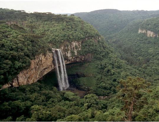 : Reserva Biológica Marinho do Arvoredo, Reserva Biológica