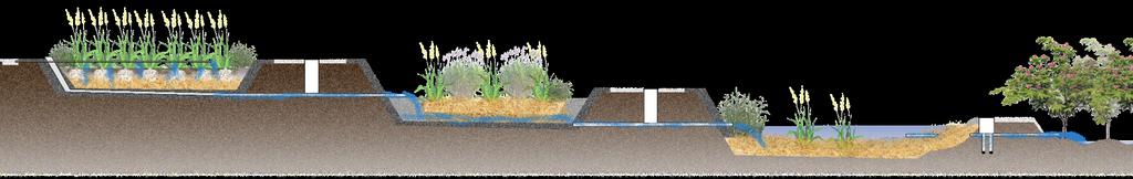 Os jardins filtrantes Phytorestore FILTRO VERTICAL FILTRO HORIZONTAL LAGOA PLANTADA MEIO RECEPTOR Tratamento aeróbio Redução de