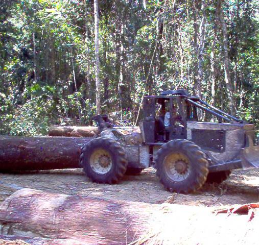O bom planejamento, além de reduzir os custos de exploração, pode reduzir o dano à floresta remanescente, garantindo novas extrações econômicas no futuro (DYKSTRA; HEINRICH, 1995).