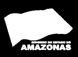 A Iniciativa Amazonas (2006/2007) 1.