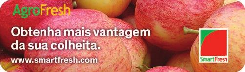 Isabela Costa é analista de mercado de MAÇÃ. Entre em contato: hfmaca@cepea.org.br Acesse: hfbrasil.org.br/maca em pleno desenvolvimento, mas contam com investimentos limitados com cobertura de pomares, por exemplo.