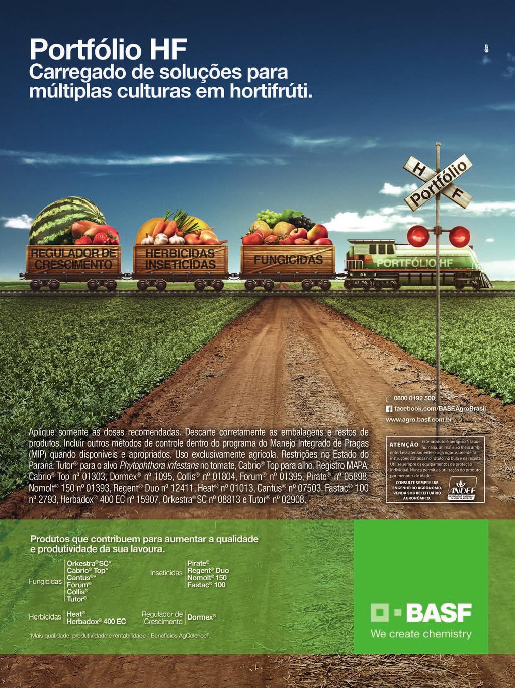 52 - HORTIFRUTI BRASIL -