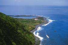 Vantagens da Rede Regional para o Turismo Subquático dos Açores