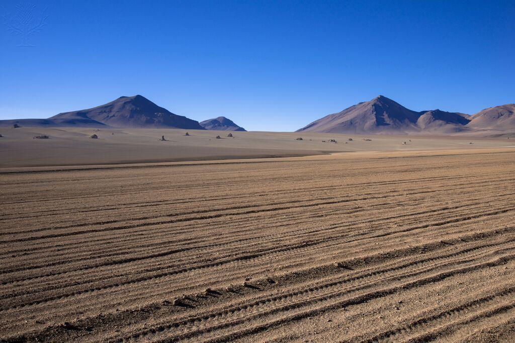 Deserto