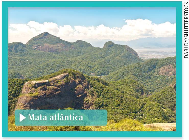 Ecossistemas brasileiros Mata atlântica Acompanha boa parte do litoral brasileiro, nas encostas da Serra do Mar; Atualmente encontra-se muito reduzida, com