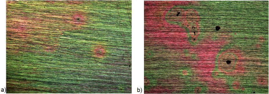 para aço 316L com apenas uma camada do sol precursor de TiO 2 /Al 2 O 3. No entanto, ambos os estudos apresentaram pequena dispersão do potencial de corrosão. 3.2 Microscopia As amostras CP1 e CP3 foram analisadas em microscópio óptico, antes e depois dos ensaios de potenciometria.