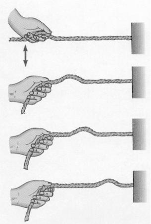 Longitudinais Transversais As ondas apresentam um comportamento distinto quando atravessam a interface entre dois meios.