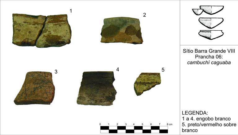 104 Figura 20 Fragmentos de vasilhames do tipo cambuchí cagauba do sítio Barra Grande VIII. 4.8.