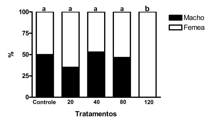 pg/ml 64 de não apresentar machos em sua população, o tratamento 120 mg E 2 /Kg de ração obteve 16% de animais intersexo. Figura 2.