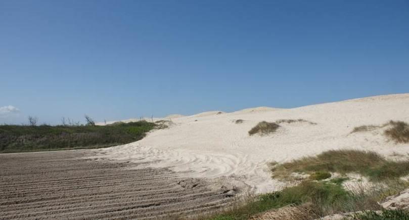 A zona costeira, onde se inclui uma parte significativa de ambiente marinho, desempenha um papel importante na regulação gasosa da composição da atmosfera e consequentemente da regulação do clima por