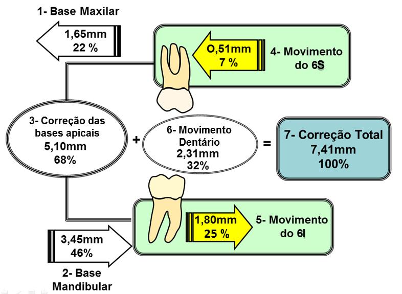 29 em menor período de tempo, o efeito nos molares para a distal seria provavelmente mais expressivo [83].