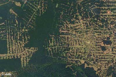 NASA  em Rondônia 2006 Imagem de satélite MODIS