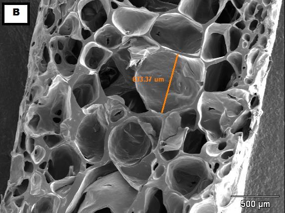 [4], que se avaliaram a capacidade de absorção de água das espumas de amido incorporadas com celulose bacteriana demonstrando aumento da sua hidrofobicidade. Figura 2.