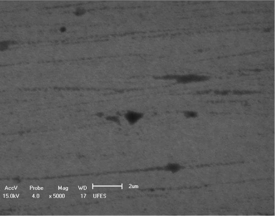 4.4 Microscopia Eletrônica de Varredura (MEV) dos Eletrodepósitos de PAni, PAniCu e PAniCo.
