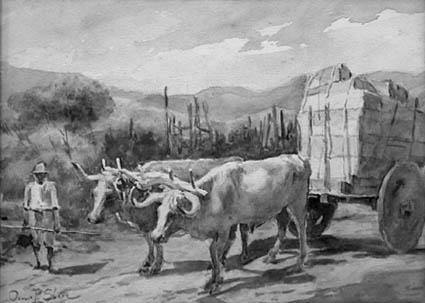 12) Sobre a pecuária no Brasil colonial, assinale: a) desenvolveu-se na Região Sudeste, especialmente em Minas Gerais no século XVIII.