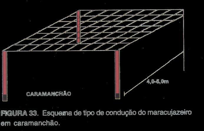 Caramanchão