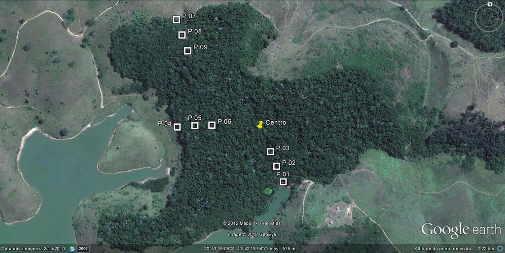 13 amostrados (0,222 ha). As parcelas foram distribuídas em três faces distintas do fragmento (Figura 2).