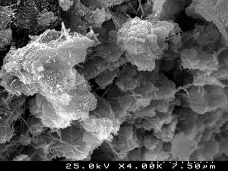 na evolução do processo de hidratação com a introdução das microcápsulas de PCM