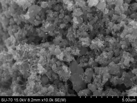 Na Figura 165 pode observar-se a microestrutura da argamassa CACIM sem TiO2 através de imagens obtidas no microscópio electrónico de