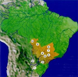 A Bacia Platina é a segunda maior bacia hidrográfica do planeta. Se estende pelo Brasil, Uruguai, Bolívia, Paraguai e Argentina.