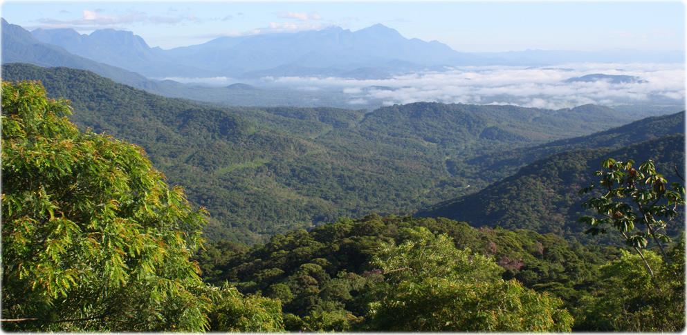 SERRA DO MAR EM SANTA CATARINA- NORTE DO ESTADO A Serra do Mar, no extremo norte