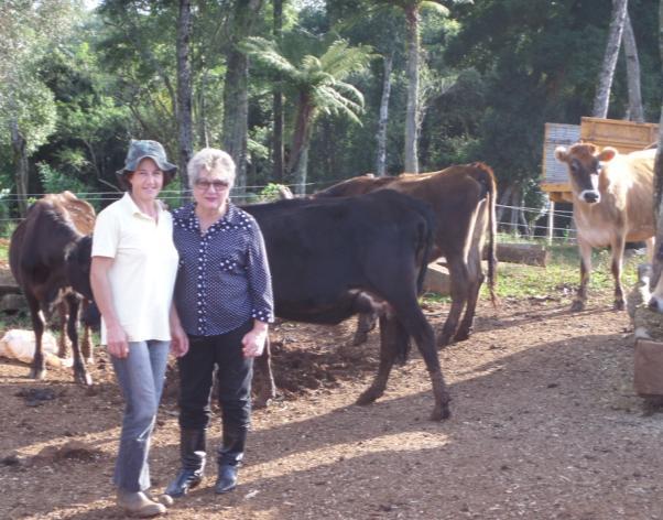 A rotina da irmã Helena Weber é muito igual a rotina das demais irmãs que residem na área rural. Rotina e hábitos desconhecidos para mim, que sempre vivi na área urbana.