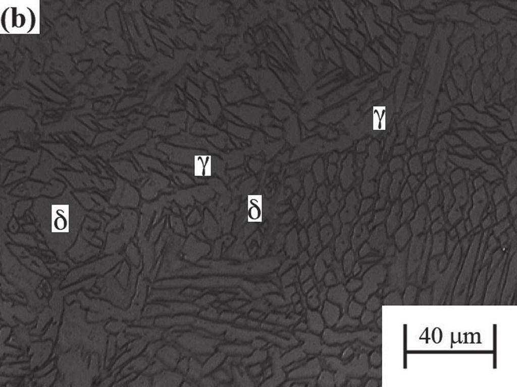 Preponderância de precipitação de austenita (a) Widmannstätten (b) oriunda de nitretos de cromo (Cr 2 N). Figura 18.