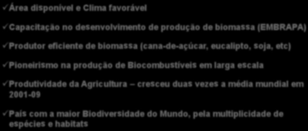 produção de Biocombustíveis em larga escala Produtividade da Agricultura cresceu duas vezes a