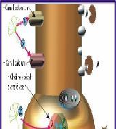 complexa) EFEITOS COLATERAIS: dor de cabeça; distúrbios gastrointestinais; dermatites