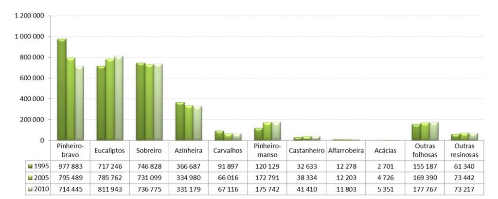 1.1. Evolução da área