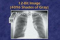 Uma imagem com 256 níveis de brilho será uma imagem em tons de cinza.