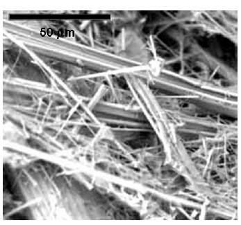 MEV de fibras minerais de amianto