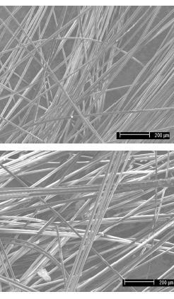 Micrografia de fibras