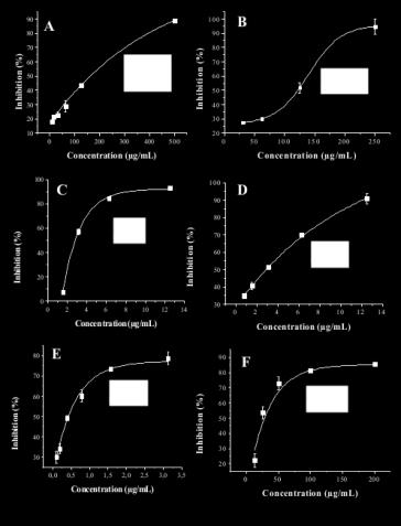 Inhibition of α-amylase (A/B), α-glucosidase (C/D) and xanthine oxidase (E/F) by E.