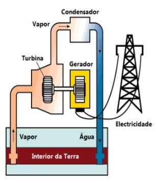 Exemplos de