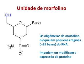 QUE PROBLEMAS APRESENTA A TERAPIA ANTISENSE?