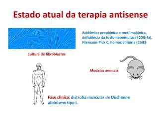 Este problema tem sido ultrapassado com o desenvolvimento de oligonucleóticos modificados, como os derivados de morfolino, que são muito estáveis in vivo, apresentam grande afinidade para o alvo e